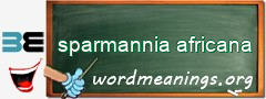 WordMeaning blackboard for sparmannia africana